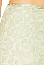 view 6 of 6 Alzena Skirt in Pistachio Mirage