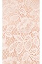 view 5 of 5 Mallory Skirt in Blush Lace