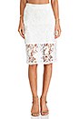 view 1 of 4 Larissa Lace Pencil Skirt in White Embroidered Lace