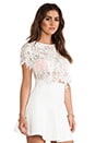 view 2 of 5 EXCLUSIVE Lisette Capped Sleeve Lace Crop Top in White