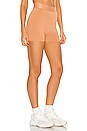 view 2 of 4 Beacon Biker Short in Latte