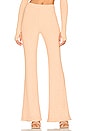view 1 of 4 Delancy Pant in Peachy