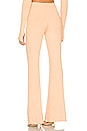 view 3 of 4 Delancy Pant in Peachy