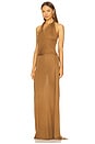 view 3 of 4 Halter Maxi Dress in Tigers Eye