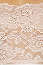 view 4 of 4 VESTIDO MYRA  in Rose Gold
