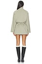 view 5 of 4 Enso Dress in Sage