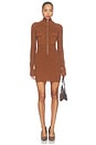 view 1 of 3 Eora Dress in Cinnamon