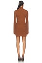view 4 of 3 Eora Dress in Cinnamon