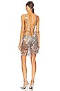 view 3 of 3 Serris Dress in Silver