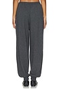 view 5 of 6 Unae Pants in Charcoal