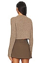 view 3 of 4 Mulli Sweater in Brownish & Grey
