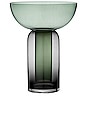 view 1 of 3 Torus Vase in Black & Forest