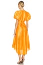 view 3 of 3 Florence Midi Dress in Honey