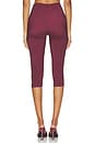 view 5 of 6 Shreya Capri in Wine