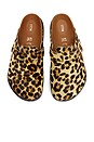 view 4 of 5 Boston Pony Hair Exq 1774 Mule in Leopard