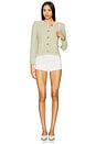 view 4 of 5 Gaspard Cardigan in Sauge