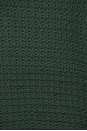 view 5 of 5 Gaspard Cardigan in Vertbouteille