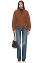 view 6 of 5 Manon Jacket in Terre