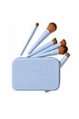 view 7 of 6 10 Piece Brush Set in 