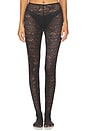 view 1 of 1 Cassia Lace Stockings in Black