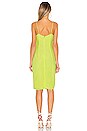 view 3 of 3 Bush Baby Dress in Lime