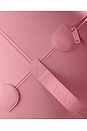 view 3 of 3 Balance Ball in Blush