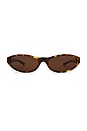 view 1 of 3 Neo Round Sunglasses in Havana