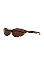 view 2 of 3 Neo Round Sunglasses in Havana