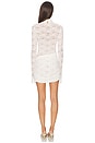 view 3 of 4 Francisca Mini Dress in Cream Lace