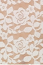 view 4 of 4 Francisca Mini Dress in Cream Lace
