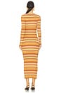 view 3 of 3 Mike Cover Up Dress in Toffee Rib Stripes