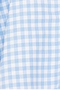 view 4 of 4 Micaela Mini Dress in Light Blue Gingham in Light Blue Gigham