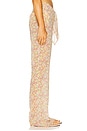 view 3 of 6 Tommy Pants in Blossom