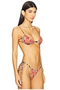 view 2 of 5 Lesli Bikini Top in Paradise Passion