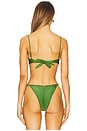 view 3 of 5 Prima Bikini Top in Green