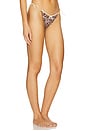 view 2 of 4 Flora Bikini Bottom in Leopard Dream