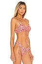 view 2 of 4 Hawaii Bikini Top in Hawaii