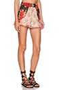 view 2 of 3 Bohemian Short in Red Floral