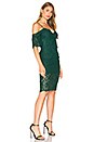 view 2 of 3 Karlie Lace Dress in Alpine