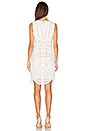view 3 of 4 Embroidered Lace Dress in Ivory