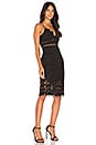 view 2 of 4 Botanica Lace Dress in Black