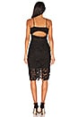 view 3 of 4 Botanica Lace Dress in Black