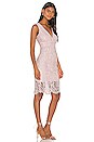 view 2 of 3 Lisa Lace Dress in Pink