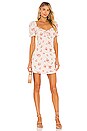 view 4 of 4 Lucinta Mini Dress in Beige Floral