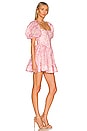 view 2 of 3 Kiah Corset Mini Dress in Pink Floral
