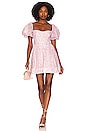 view 1 of 3 Kiah Corset mini Dress in Spring Floral