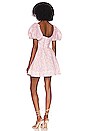 view 3 of 3 Kiah Corset mini Dress in Spring Floral