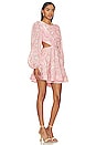 view 2 of 3 Mila Broderie Mini Dress in Pale Blush