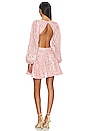 view 3 of 3 Mila Broderie Mini Dress in Pale Blush