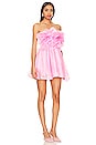 view 2 of 3 Fleurette Mini Dress in Lili Pink
